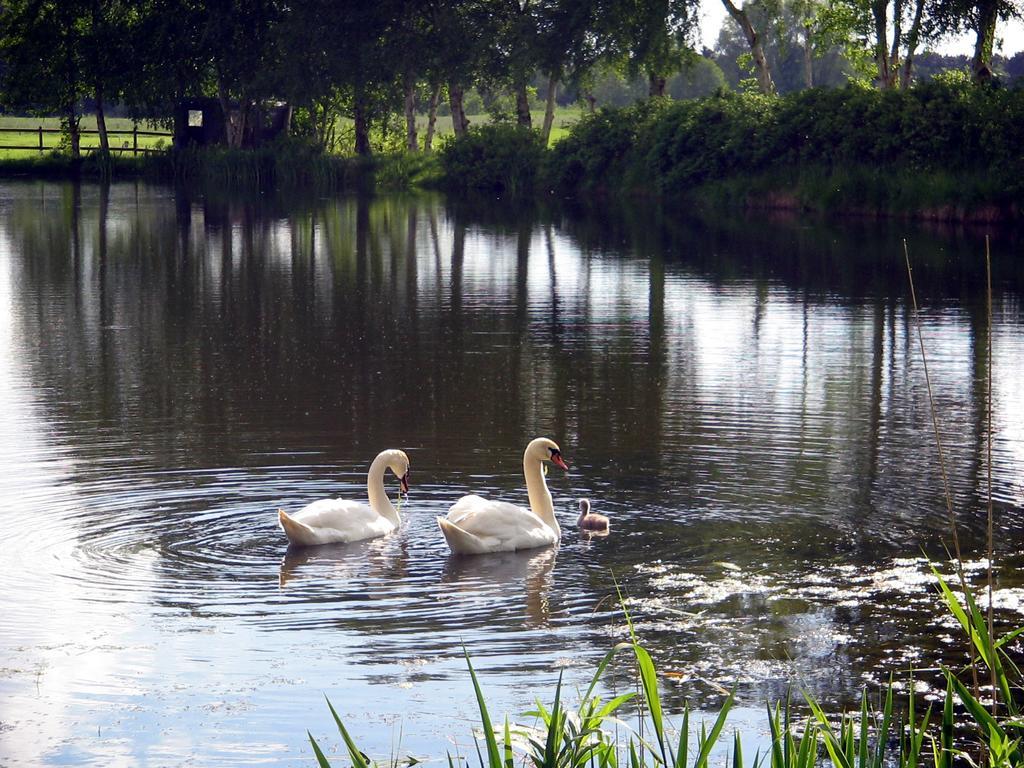 Pension Am Birkensee Detern Εξωτερικό φωτογραφία